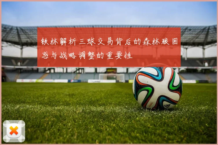 铁林解析三球交易背后的森林狼困惑与战略调整的重要性