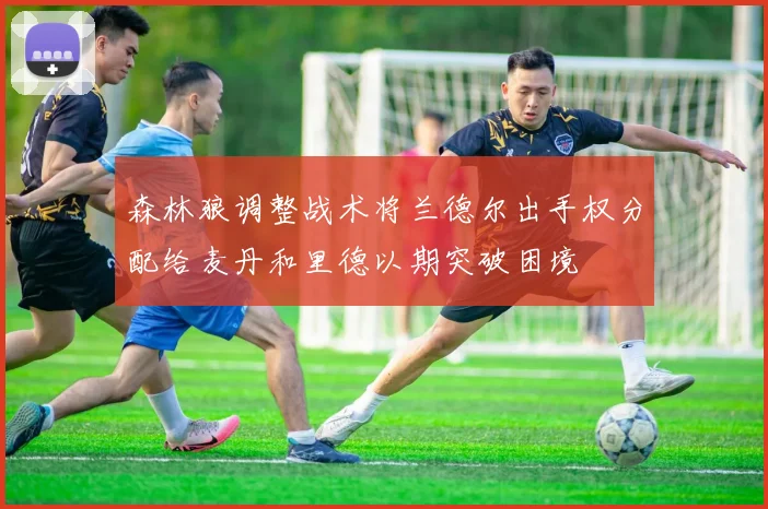森林狼调整战术将兰德尔出手权分配给麦丹和里德以期突破困境