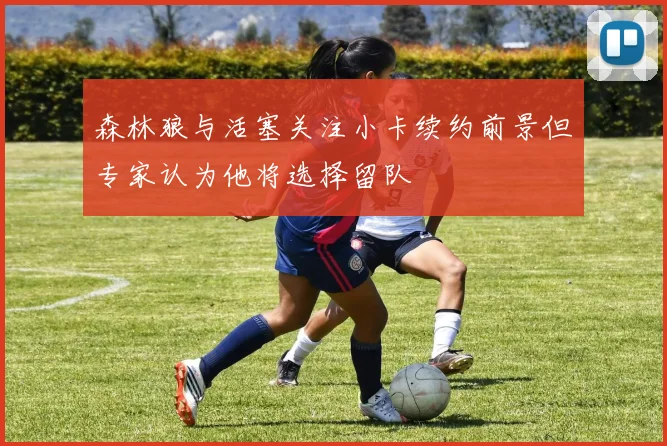 森林狼与活塞关注小卡续约前景但专家认为他将选择留队