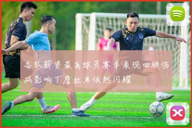 各队薪资最高球员赛季表现回顾伤病影响下詹杜库依然闪耀